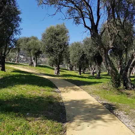 Laconsolate アパート