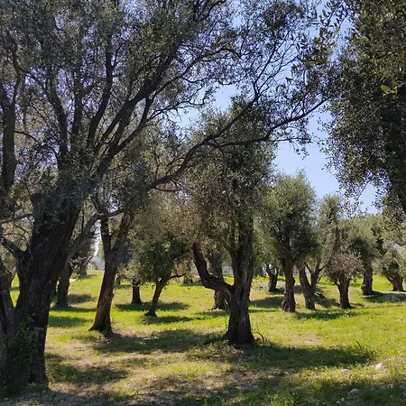 アパート Laconsolate *