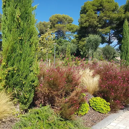 Апартаменты Laconsolate *