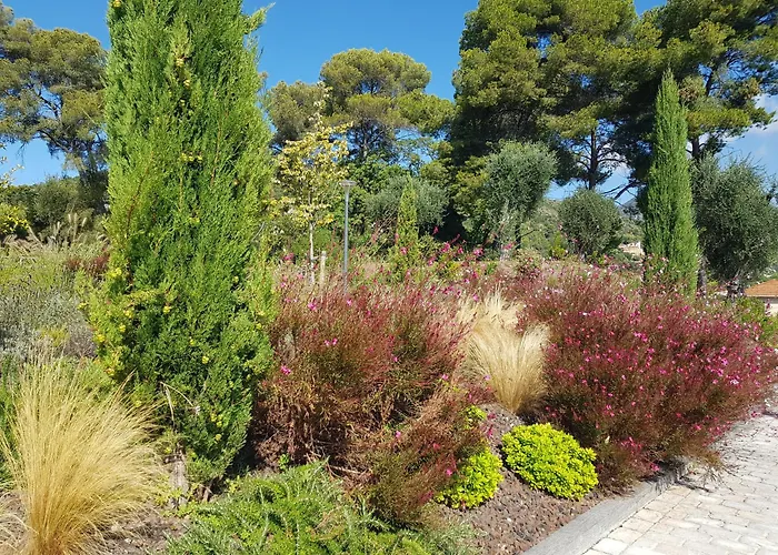 Апартаменты Laconsolate *