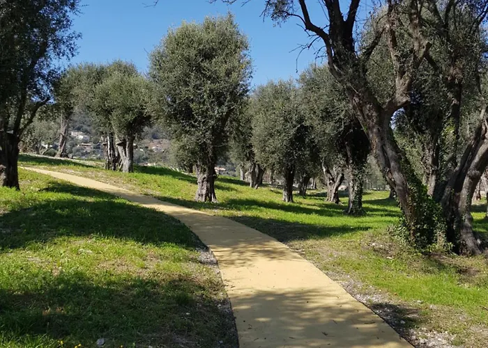 Laconsolate דירה